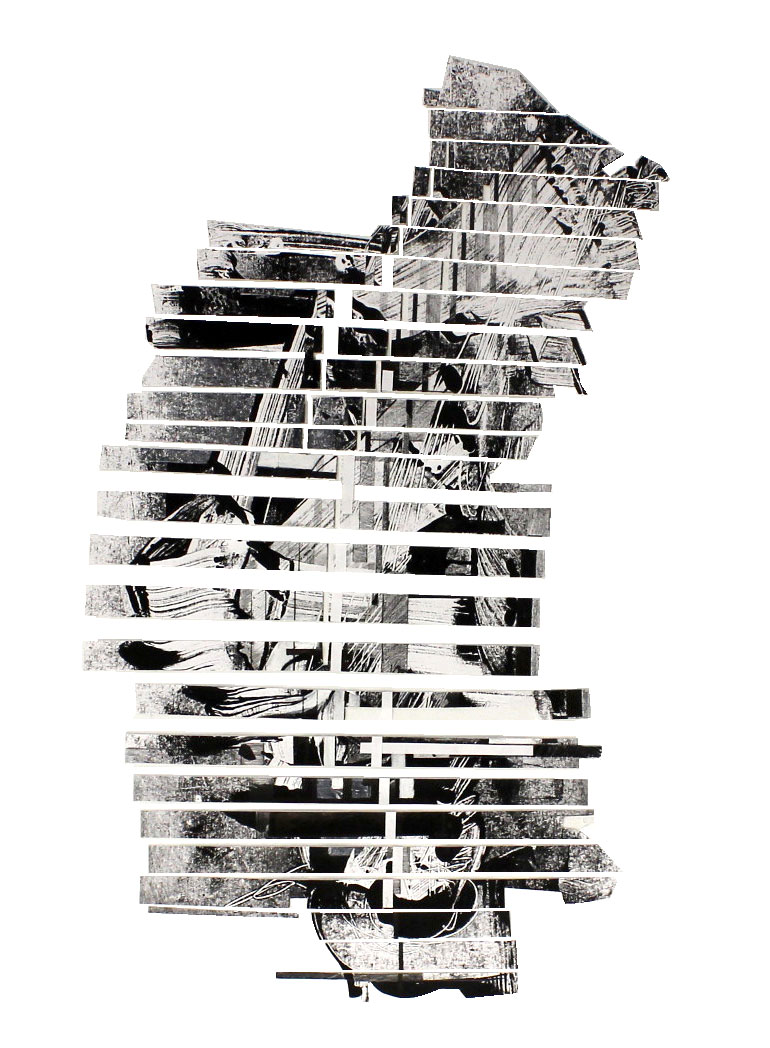 collage1